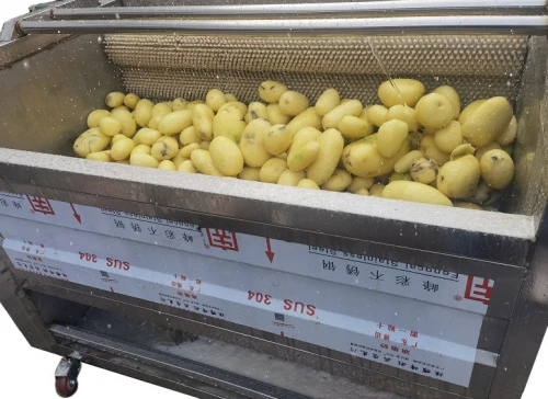 Машина для абразивно-щеточной чистки Roal MS-1000