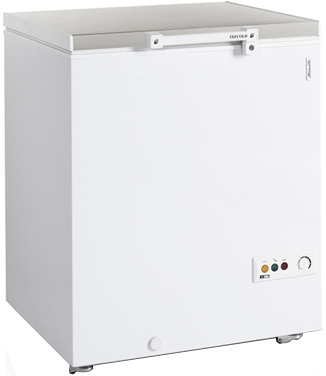 Морозильный ларь Tefcold FR205S