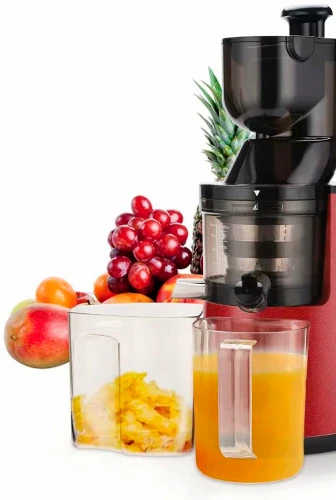 Соковыжималка Roal ALW-J16