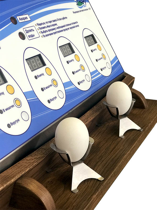 Яйцеварка Atesy ЯВА-4-01