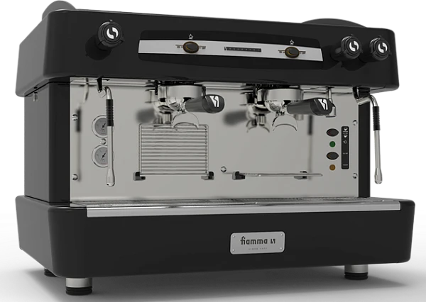 Рожковая кофемашина Fiamma Quadrant 2 TC Black
