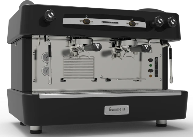 Рожковая кофемашина Fiamma Quadrant 2 TC Black
