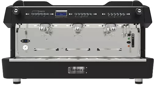 Рожковая кофемашина Fiamma Compass 3 DB TC Black